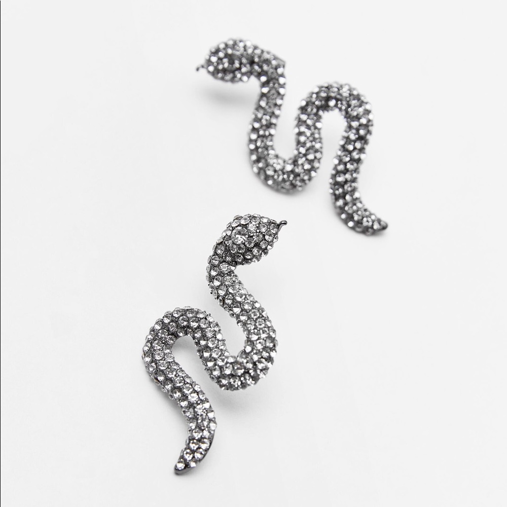 ZARA Snake Earrings